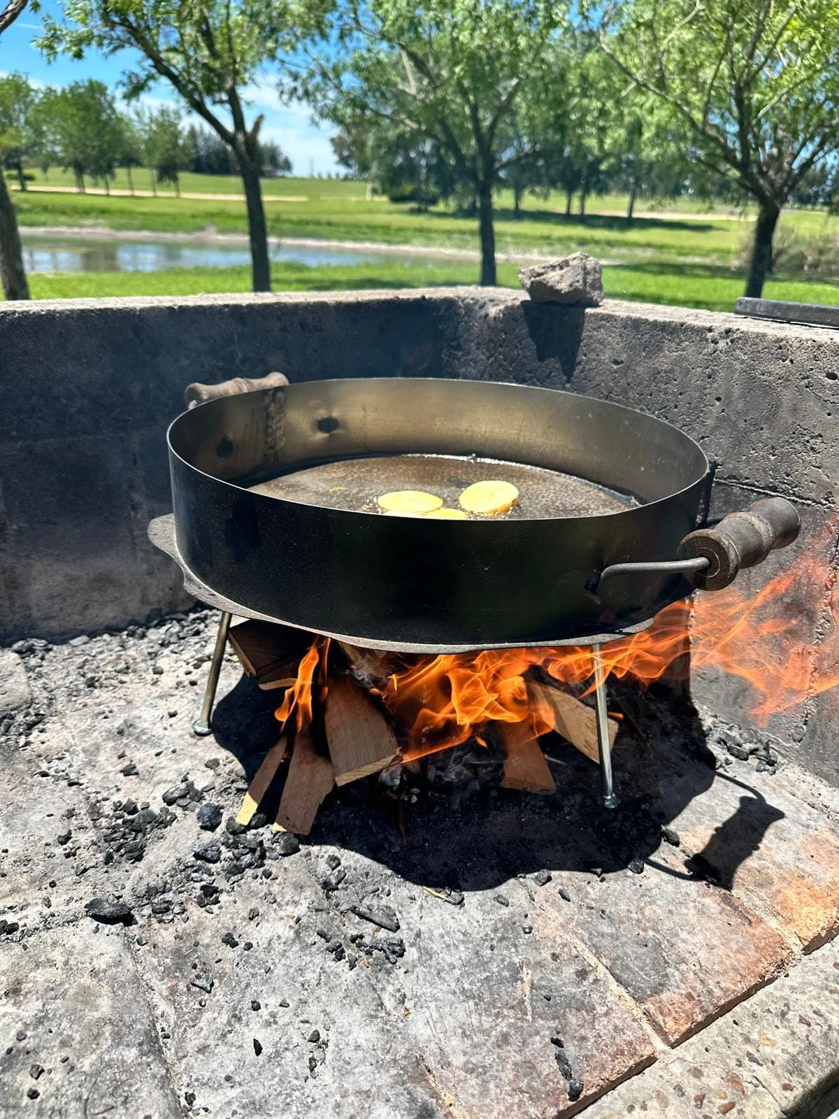 Discos para cocinar Cardalgrill