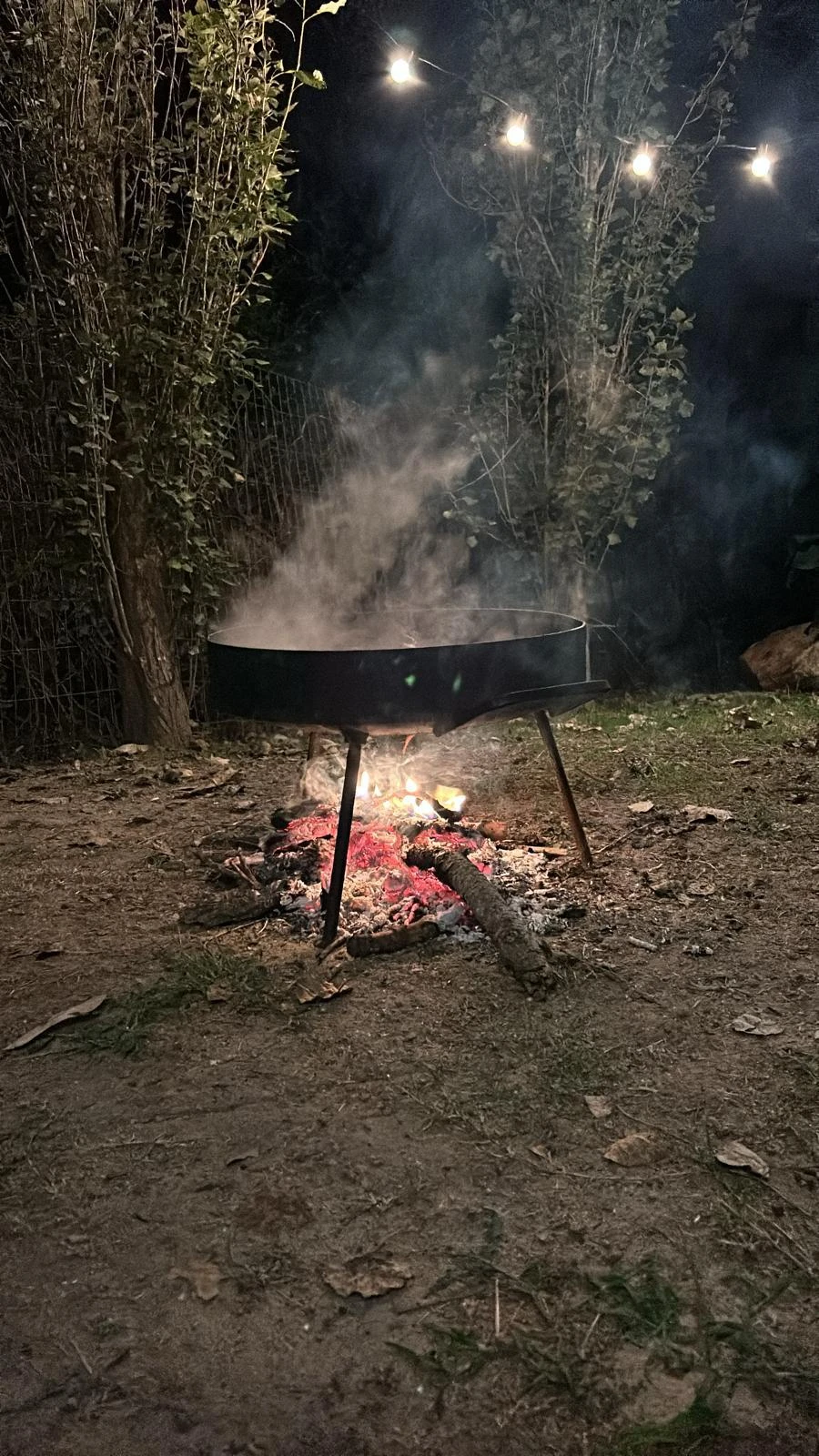 Disco para cocinar Cardalgrill - modelo o detalle 9